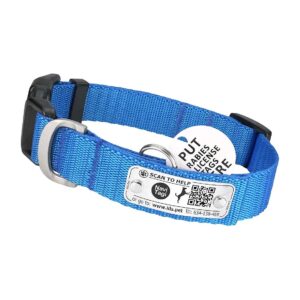 Blue Nylon Dog Collar with QR ID and No Jingle Pocket for Easy Identification