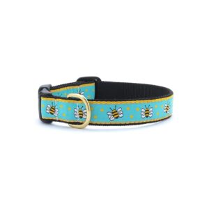 Blue Nylon Dog Collar with Wide 1 Inch Buckle