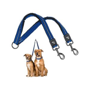 Blue Nylon Dog Leash Coupler for Walking Two Dogs with Comfort and Ease