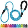 Blue Nylon No Pull Pet Training Leash with Comfy Foam Grip for Small Dogs