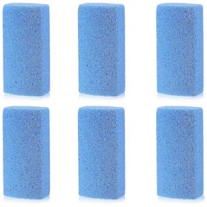 Blue Pet Hair Rock Removal Tools for Easy Cleaning 6 Pieces