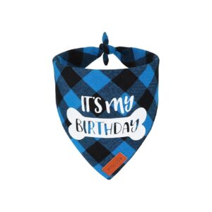 Blue Plaid Birthday Boy Dog Bandana for Large and Extra Large Dogs X-Large