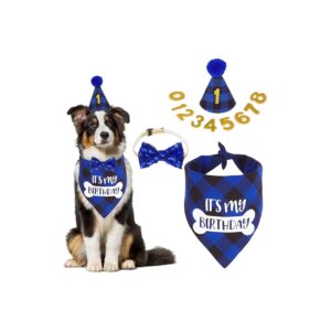 Blue Plaid Boy Dog Birthday Hat with Numbers It's My Birthday Puppy Bandana with Bow Set