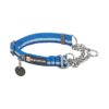 Blue Pool Martingale Dog Collar for Escape Artists with Reflective Webbing