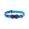 Blue Reflective Dog Collar Adjustable from 12 to 20 Inches