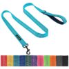 Blue Reflective Nylon Leash 5Ft for Small Medium and Large Dog Training Padded Handle