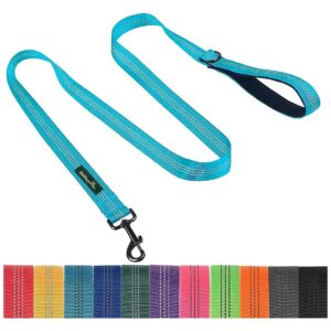 Blue Reflective Nylon Leash 5Ft for Small Medium and Large Dog Training Padded Handle