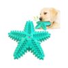 Blue Rubber Dog Chew Toy for Large Breeds with Toothbrush and Squeaker Effects