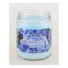 Blue Serenity Scented Candle Pack of 2 for All Season Use Indoors