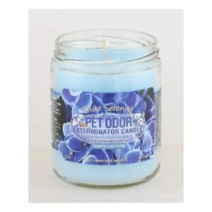 Blue Serenity Scented Candle Pack of 2 for All Season Use Indoors