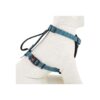 Blue Small Dog Harness with Buckle and Padded Shoulder Padding