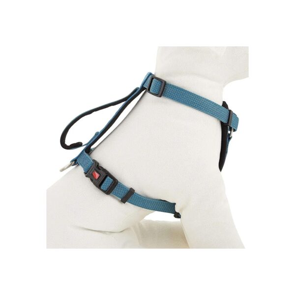 Blue Small Dog Harness with Buckle and Padded Shoulder Padding