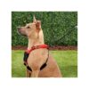 Blue Solid Nylon XL Dog Harness Size