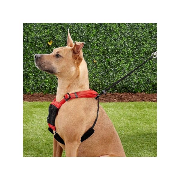 Blue Solid Nylon XL Dog Harness Size