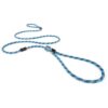 Blue Standard Size Dog Leash Collar Combo for Training Control and Correction