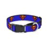 Blue Superman Shield Martingale Dog Collar 1 Inch Wide Polyester Medium to Large Neck