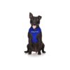 Blue Therapy Dog Harness with Preventive Messaging Vest preventing Accidents