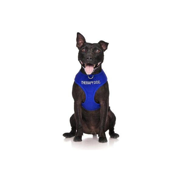 Blue Therapy Dog Harness with Preventive Messaging Vest preventing Accidents