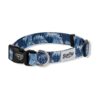 Blue Wave Adjustable Dog Collar for Small to Large Breeds up to 25 Pounds