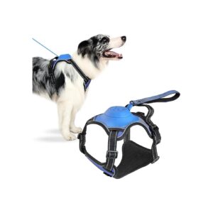 Blue XL Dog Harness with Reflective No-Pull Leash Adjustable Heavy Duty Mesh for Medium