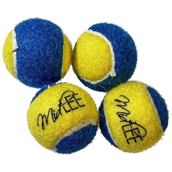 Blue Yellow Mini Dog Tennis Balls Perfect for Toy Breeds Pack of 4