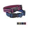 Blue and Hot Pink Reflective Nylon Dog Collar for Small Pets with Nylon Strap