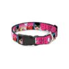 Bold Batgirl Bubble Letters Dog Collar with Stars and Durable Buckle