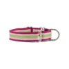 Bold Medium Sherbert Patterned Nylon Webbing and Grosgrain Ribbon Dog Collar