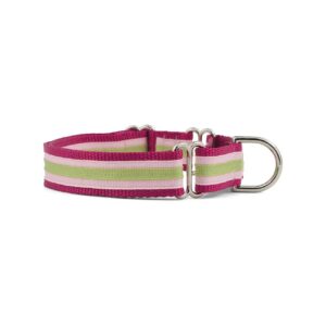 Bold Medium Sherbert Patterned Nylon Webbing and Grosgrain Ribbon Dog Collar