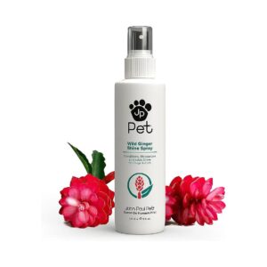 Botanical Ginger Spray for Dogs and Cats Soothes and Moisturizes Skin