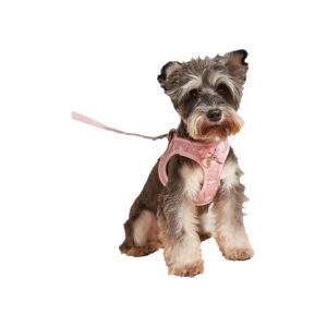 Bowknot Bell Cute Dog Harness and Leash Set for Small Dogs Pink XXS