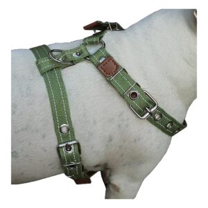 Boxer, Pitbull Large Dog Harness, 26"-31" Chest Girth, Cotton Web, Green