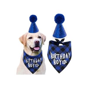 Boy Dog Birthday Party Supplies Including Sparkly Hat and Plaid Bandana