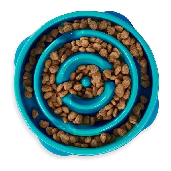 Brain Game for Dogs with Turquoise Fun Feeder Bowl