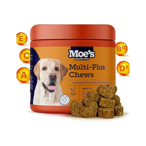 Brain, Joint, and Skin Health Support - Omega 3 Rich Multivitamin Chews for Your Dog