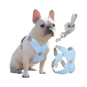 Breathable Dog Vest with Leash for Small Medium Dogs and Puppies