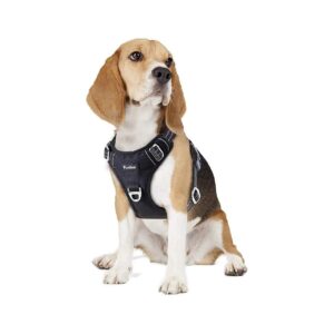 Breathable Dog Vest with Metal Front Clip for Small Medium Large Breed Dogs