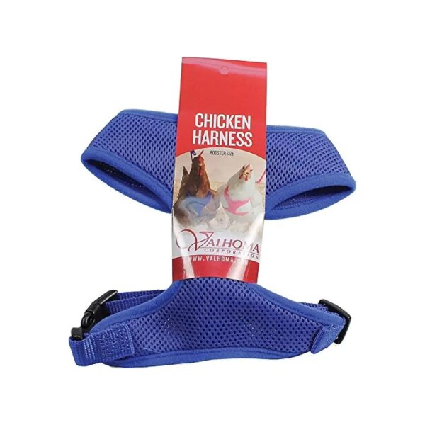 Breathable Mesh Chicken Harness with Adjustable Design Blue Rooster