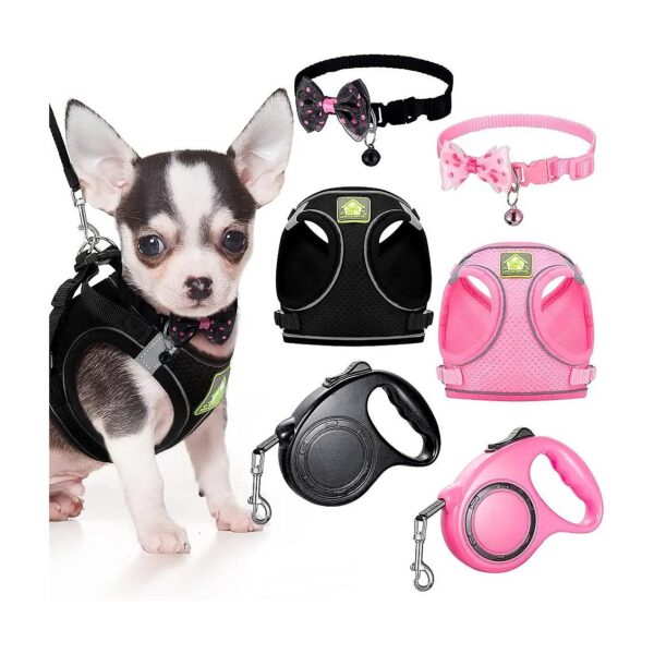 Breathable Mesh Dog Harness with Retractable Leash for Small Dogs and Cats