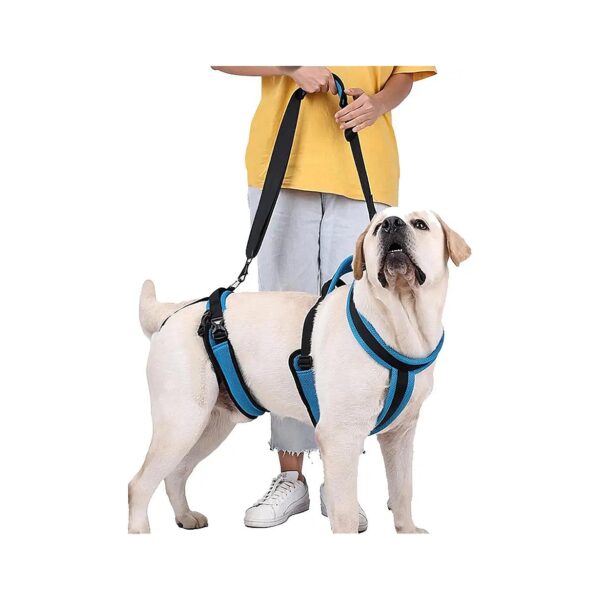 Breathable Mesh Dog Lift Harness for Older Dogs with Joint Injuries or Arthritis Support