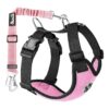 Breathable Mesh Dog Seat Belt for Large, Medium, Small Dogs with Strap and Carabiner