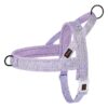 Breathable Mesh Padded No Pull Dog Harness for Small to Large Dogs Walking Training