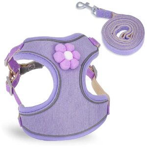 Breathable Mesh Puppy Harness with Reflective Accents and Easy Adjustment for Small Dogs