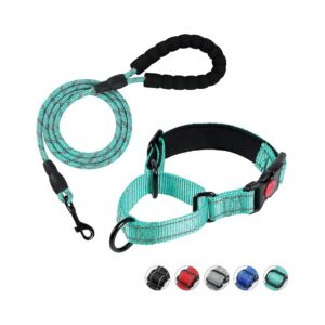 Breathable Neoprene Padded Martingale Collar and Leash Set for Small Medium Large Dogs