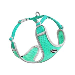 Breathable Soft Mesh Harness for Small to Medium Dogs - Choke Free and No Pull