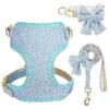 Breathable Soft Mesh Padded Dog Vest Collar and Leash Set for Small Dogs