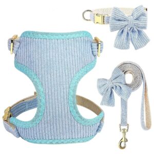 Breathable Soft Mesh Padded Dog Vest Collar and Leash Set for Small Dogs