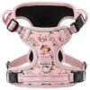 Breathable Soft Padded Dog Harness with 3 Snap Buckles and Metal Leash Clips