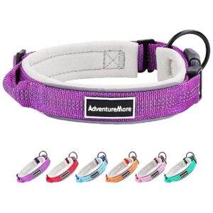 Breathable and Durable Nylon Dog Collar in Rich Purple Color