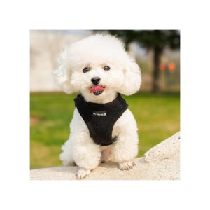 Breathable and Soft Padded Mesh Pet Harness Vest for Small Pets with Adjustable Velcro